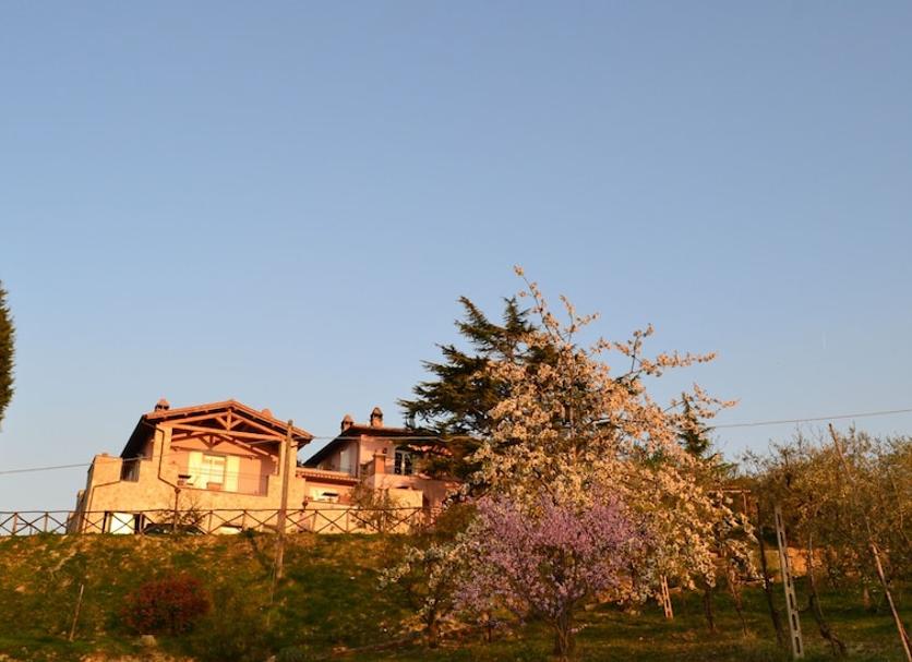 Outdoor view Photo