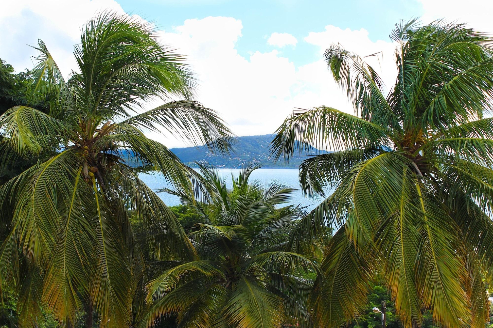 Outdoor view