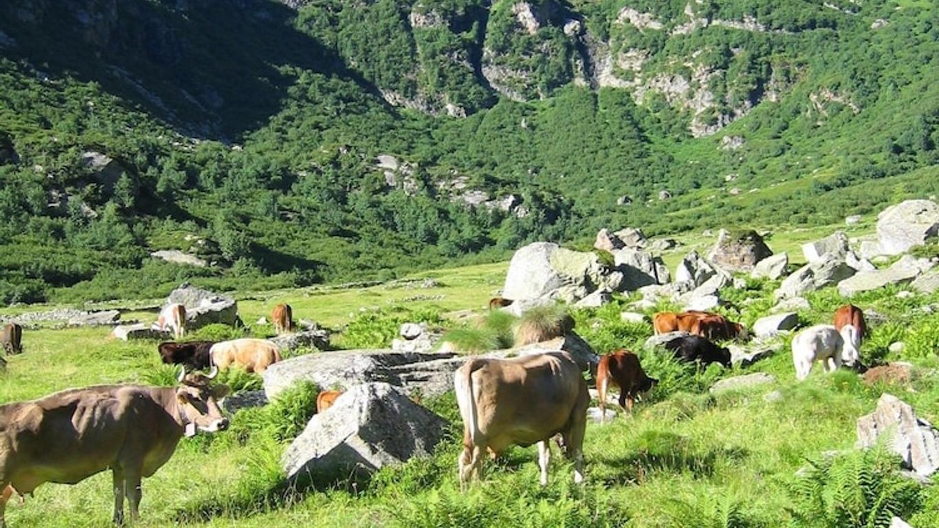 Agriturismo Alagna