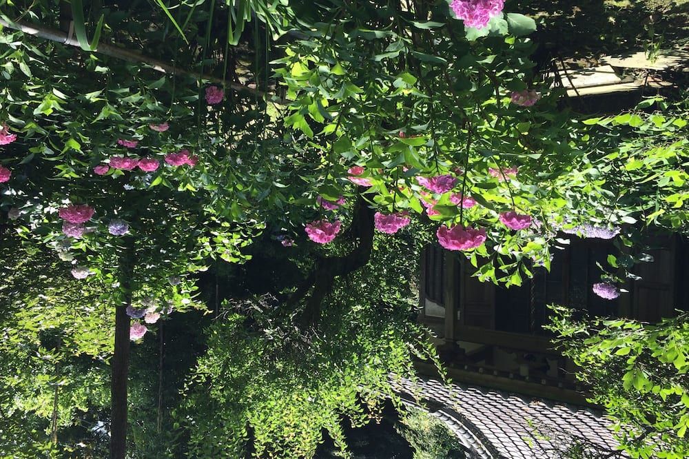 Outdoor view
