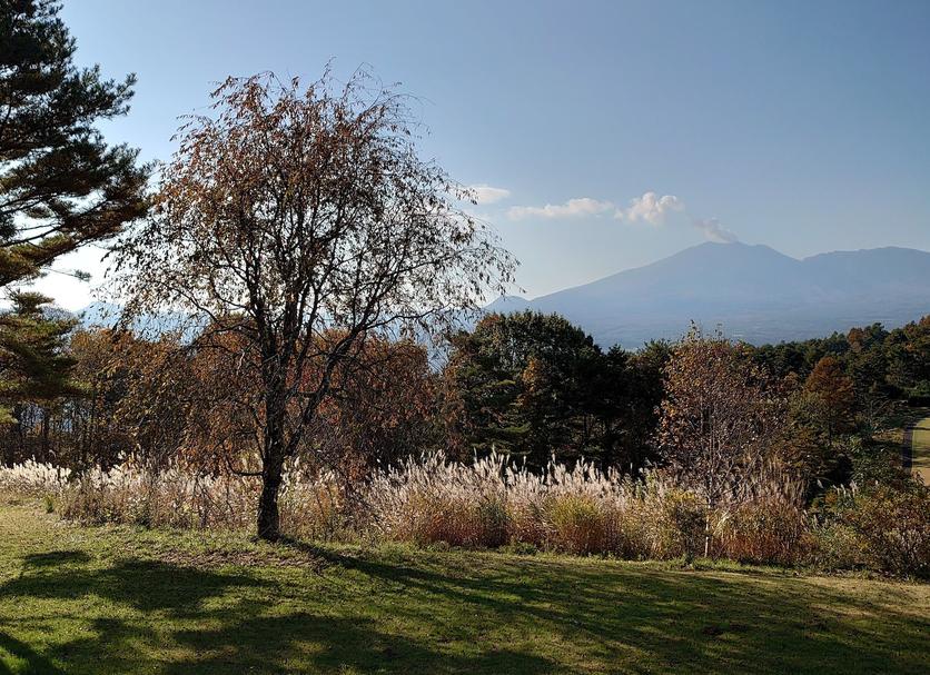 Outdoor view Photo