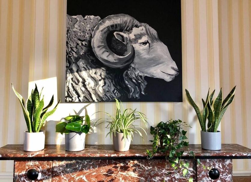 Room amenity Photo