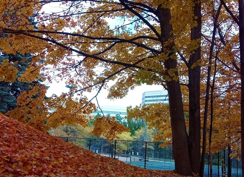 Outdoor view Photo