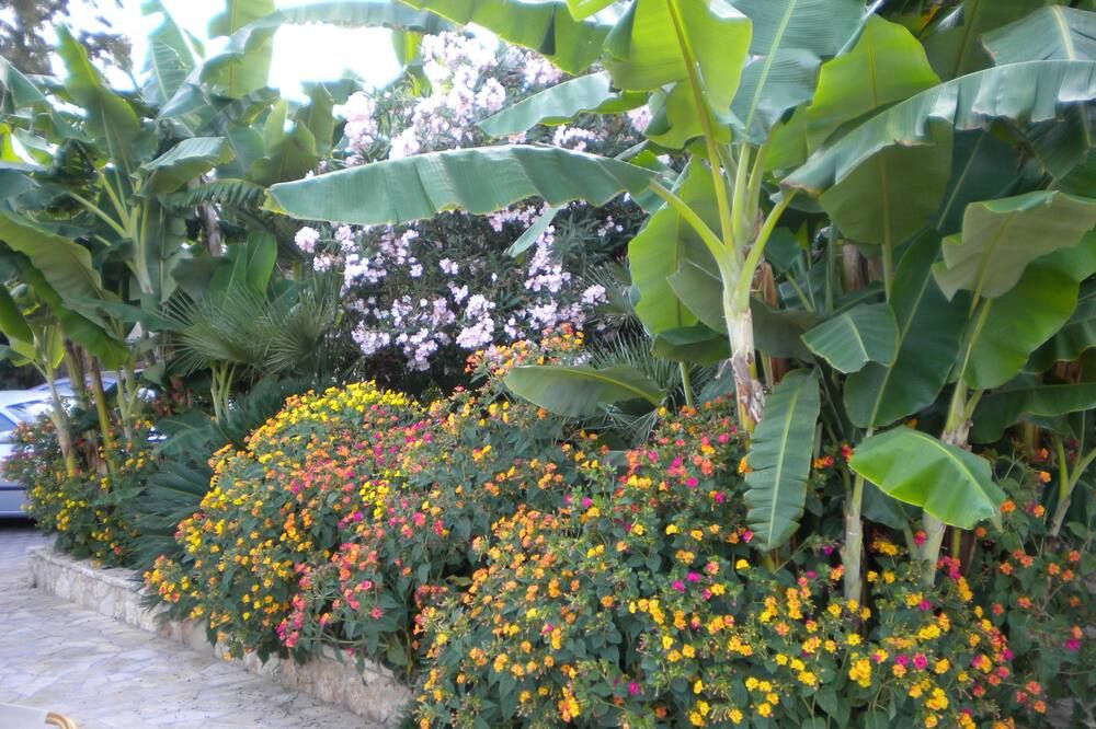 Outdoor view