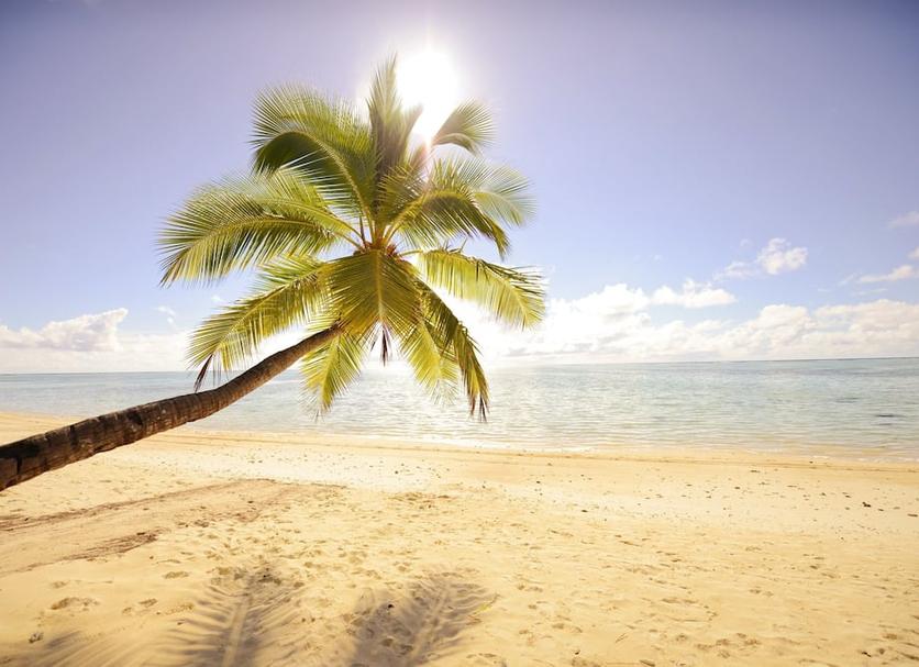 Beach Photo