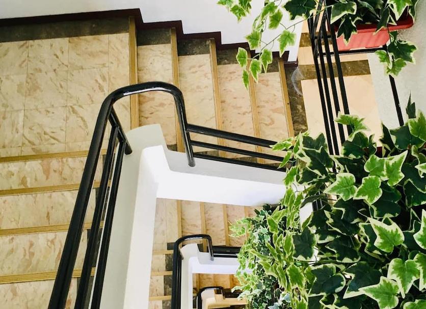 Stairs Photo