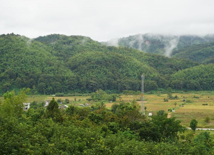 Outdoor view Photo
