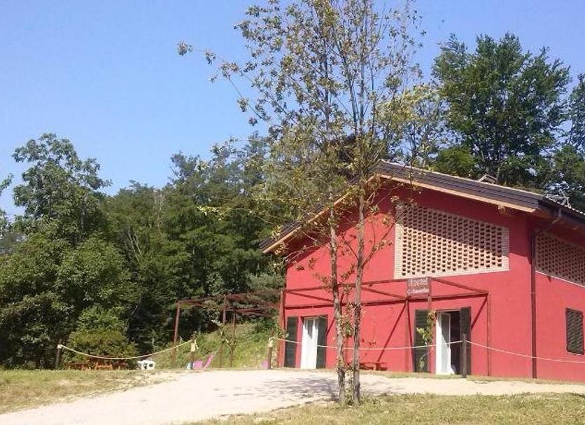 Other Photo