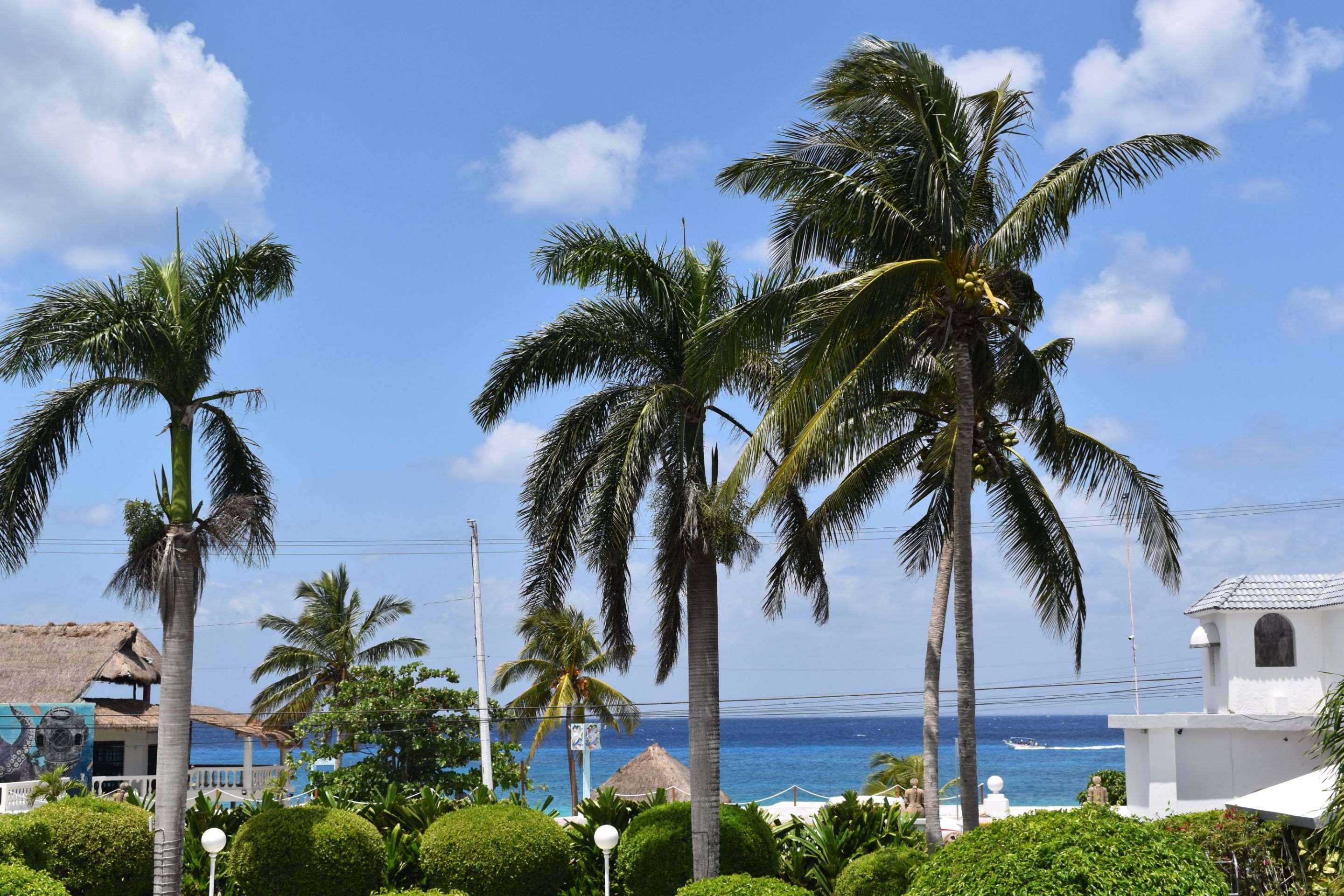 Outdoor view