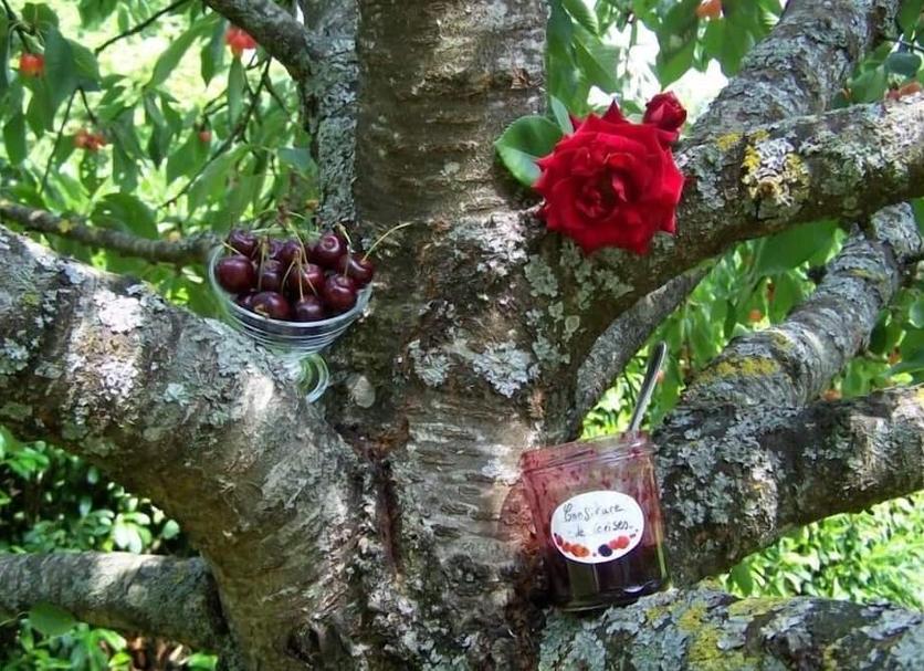 Other Photo
