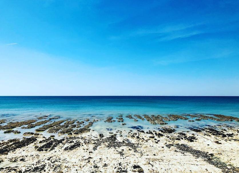 Beach Photo