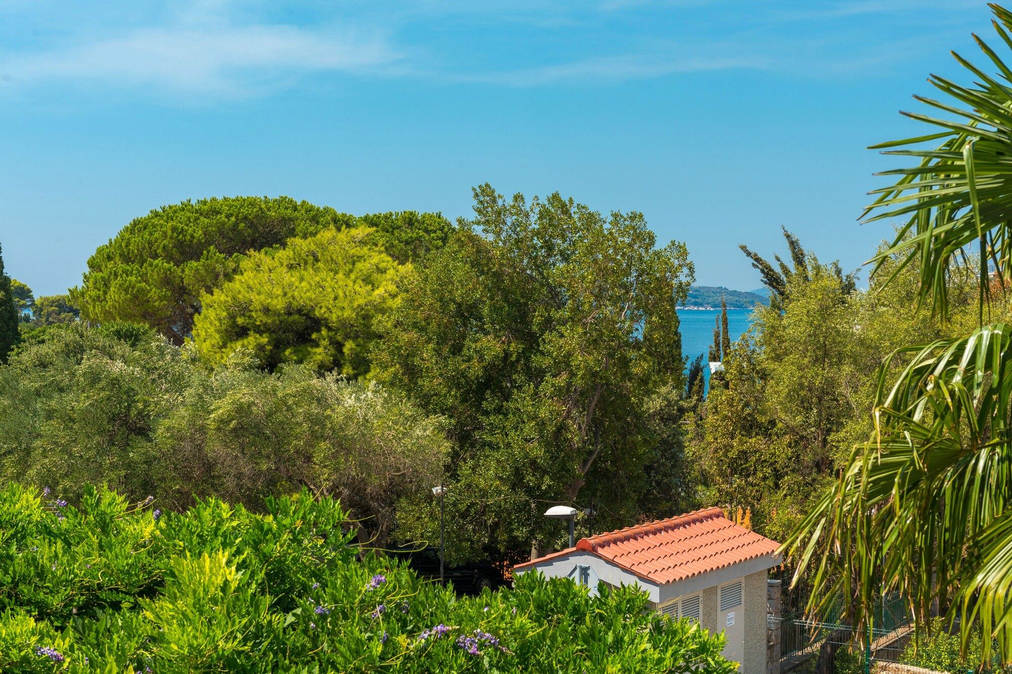 Outdoor view