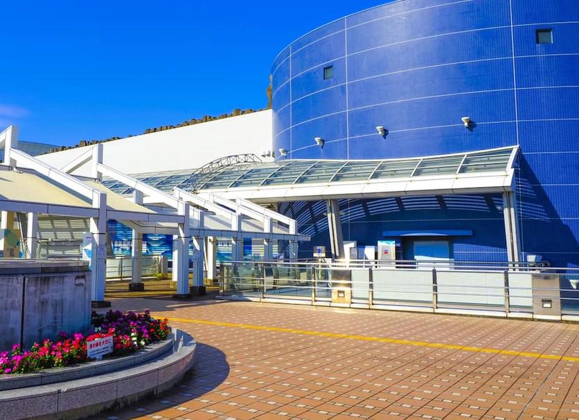 Attractions Photo