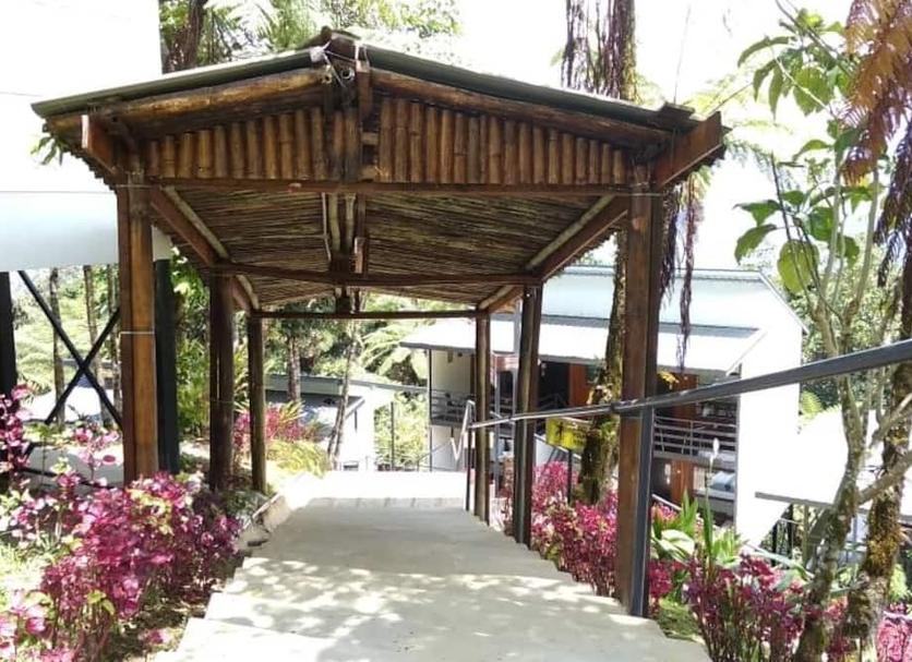 Outdoor view Photo