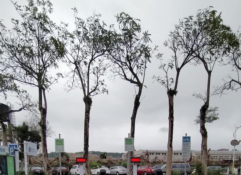 Outdoor view Photo