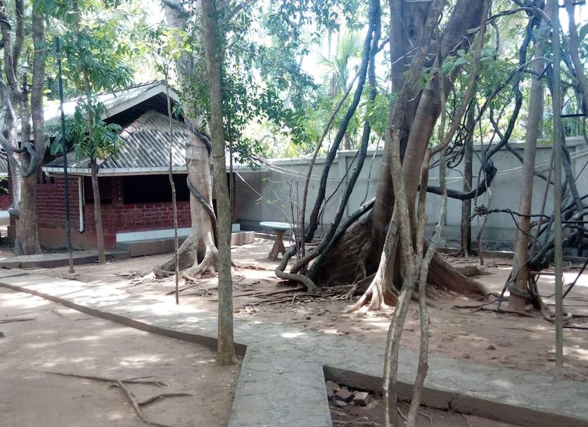 Other Photo