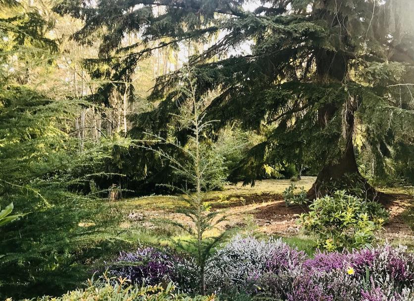 Outdoor view Photo
