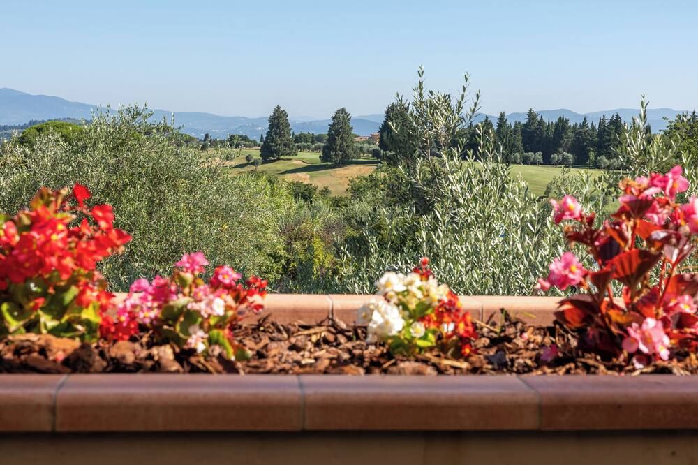 Outdoor view