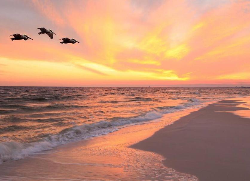 Beach Photo