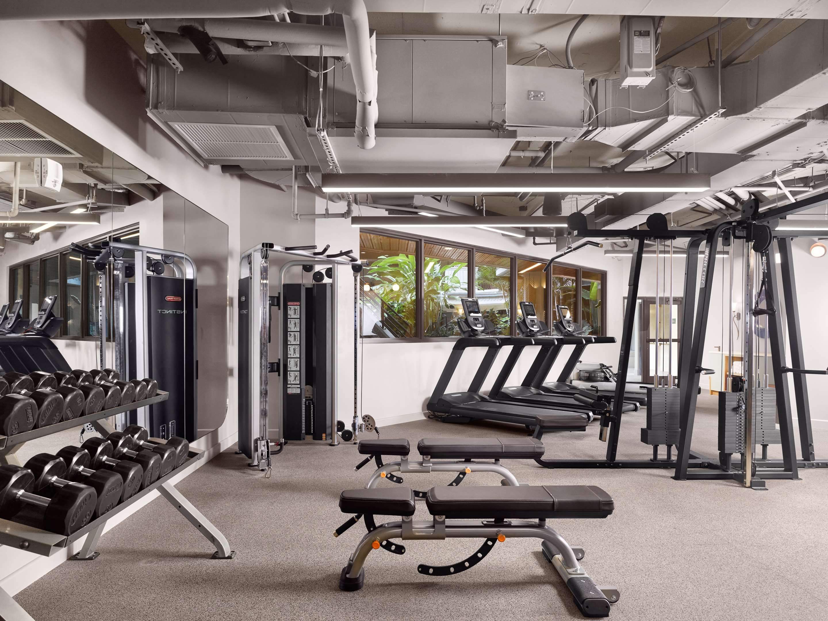 Gym