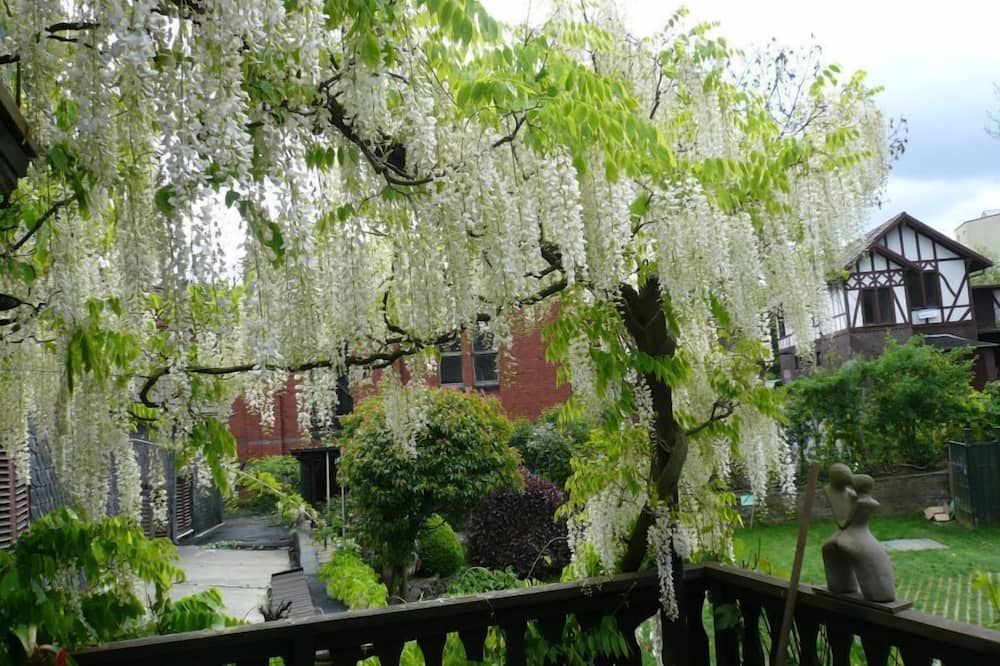 Outdoor view