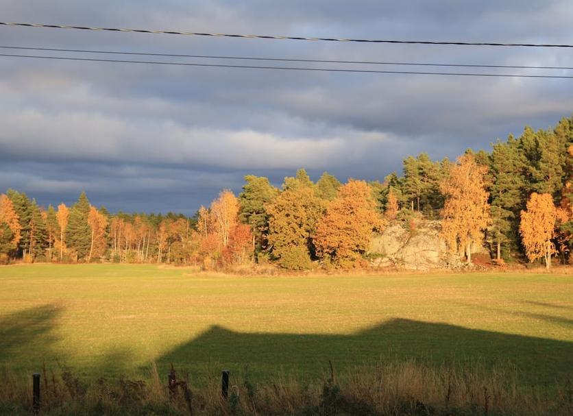 Outdoor view Photo