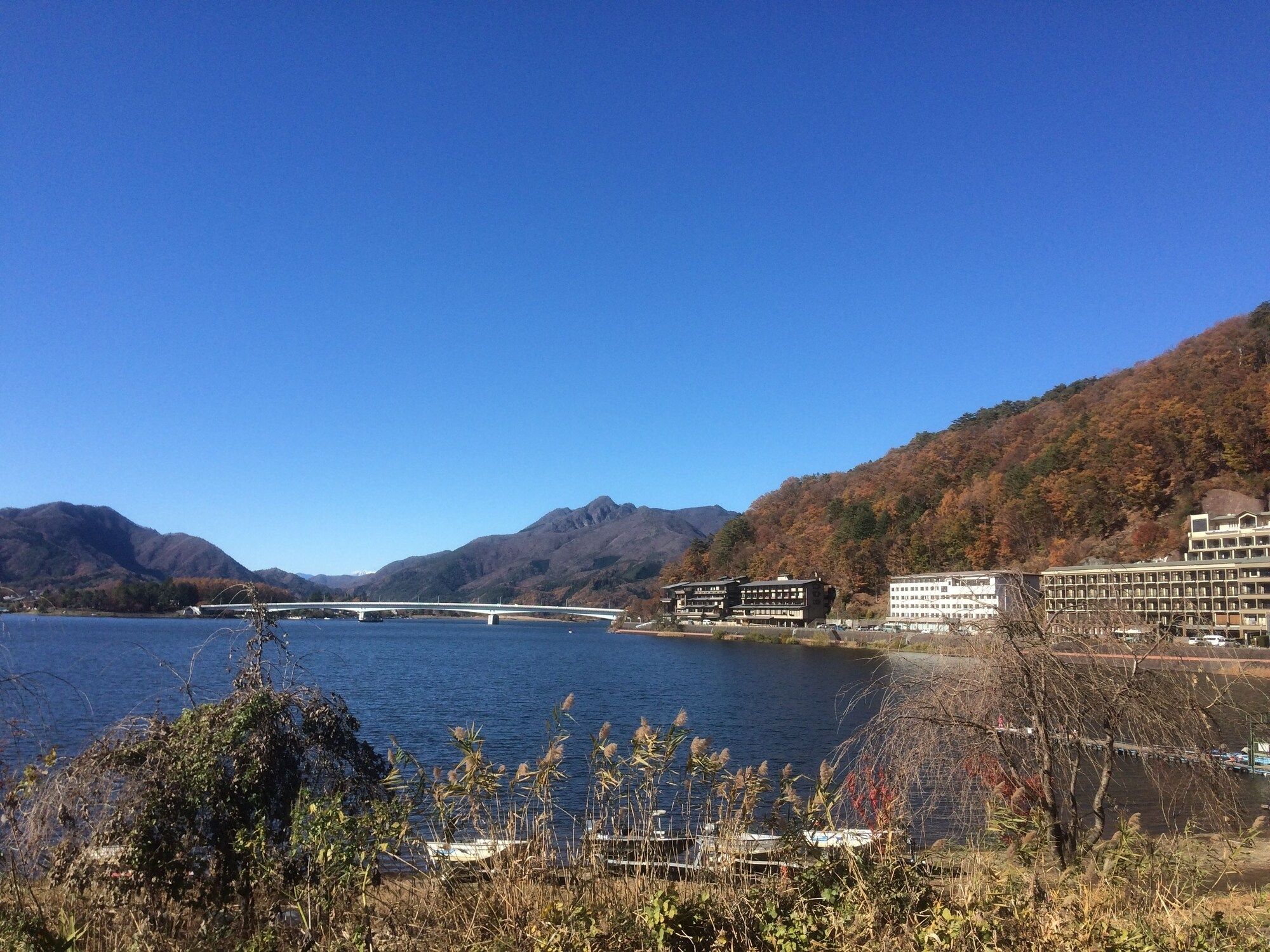 Outdoor view