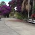 Outdoor view
