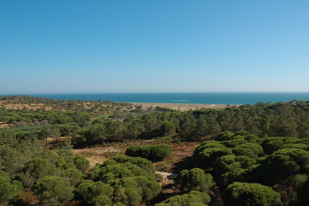 Outdoor view