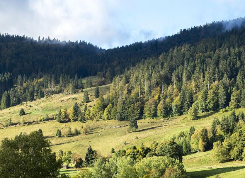 Outdoor view Photo