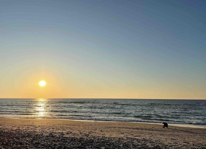 Beach Photo