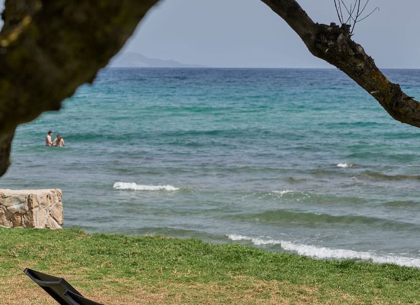 Beach Photo