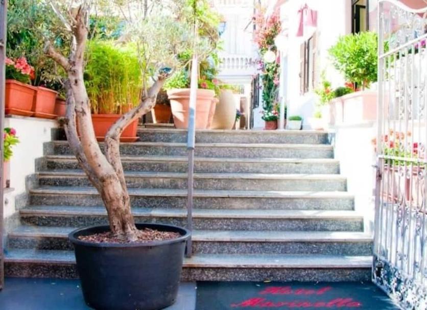 Stairs Photo
