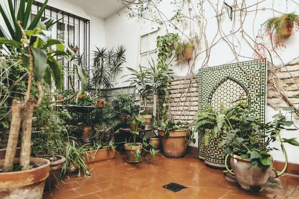 Outdoor view