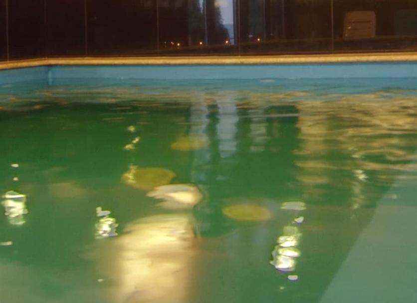 Pool Photo