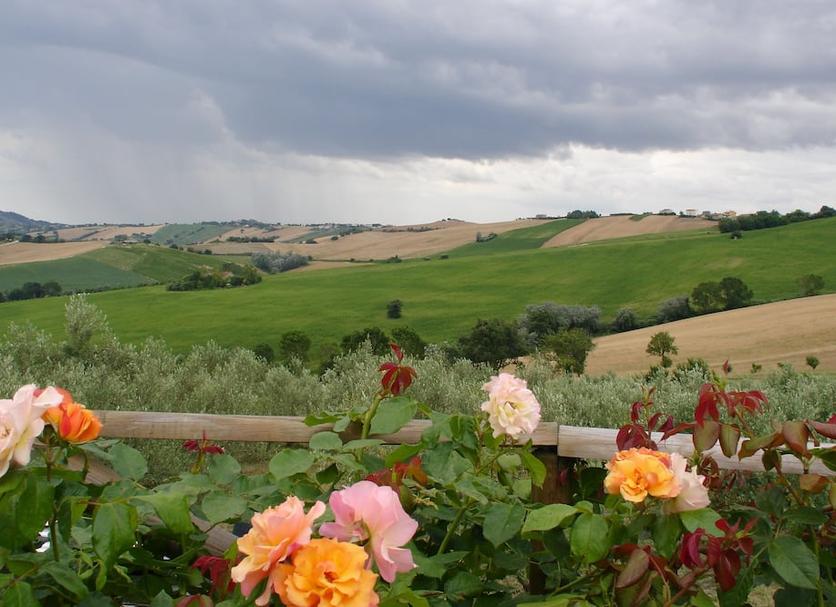 Outdoor view Photo
