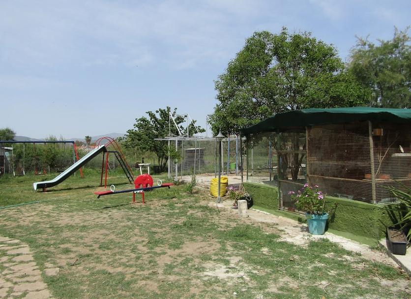 Other Photo