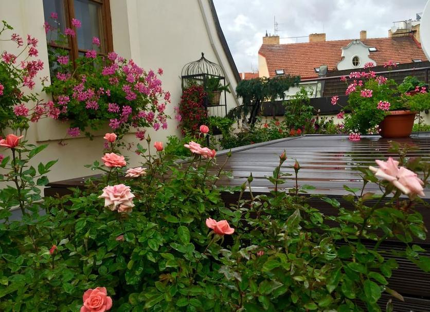 Outdoor view Photo