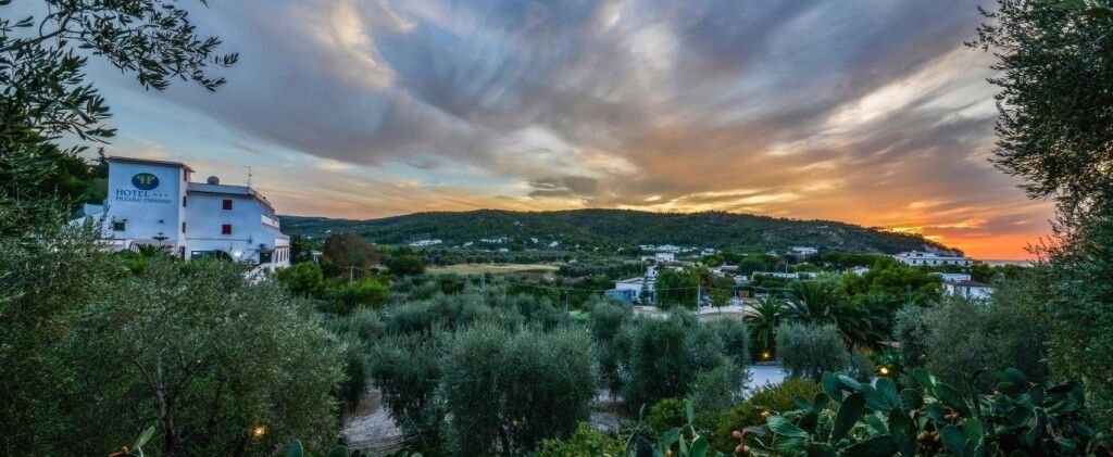 Outdoor view