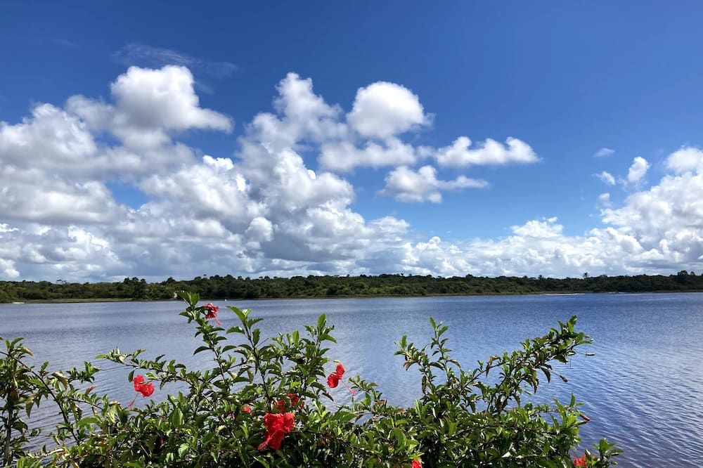 Outdoor view