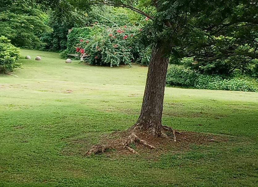 Outdoor view Photo