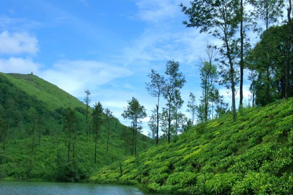 Outdoor view