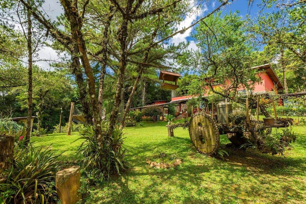 Outdoor view
