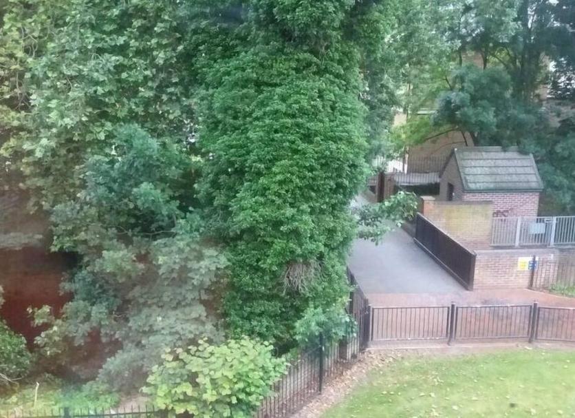 Outdoor view Photo