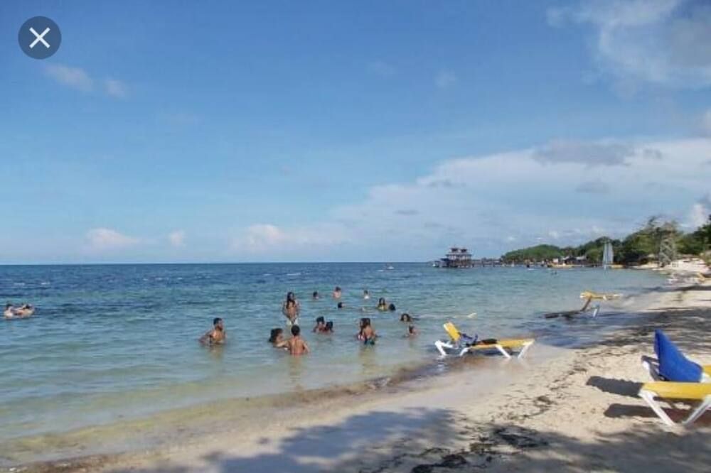 Beach Photo