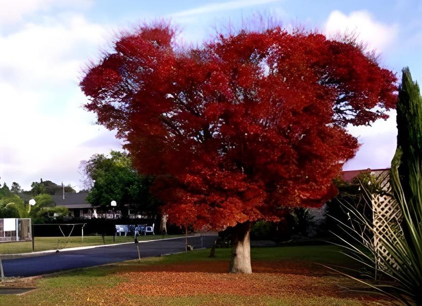 Outdoor view Photo