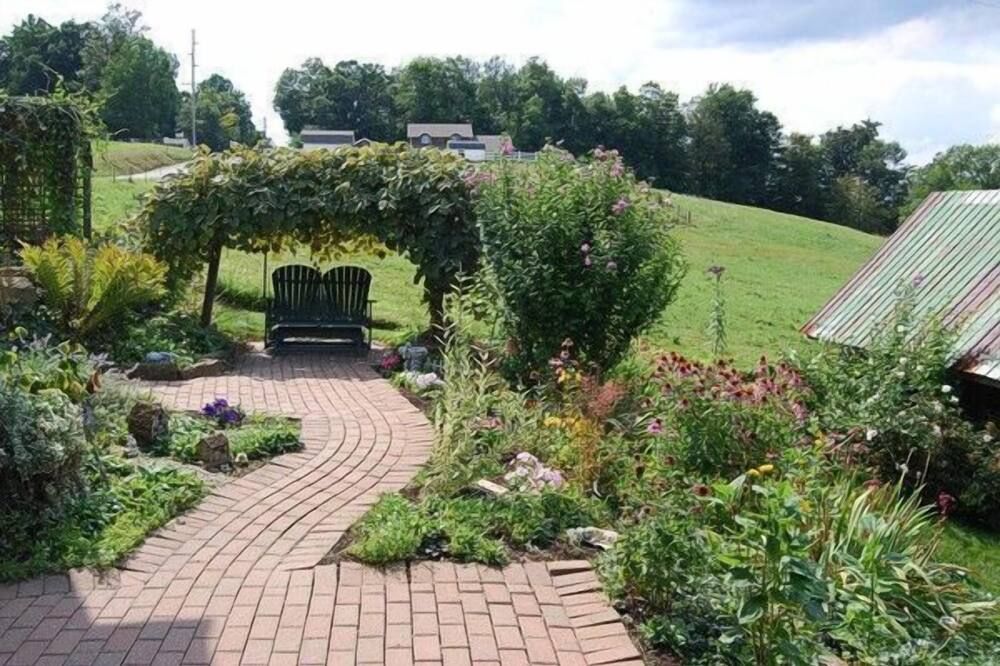 Outdoor view