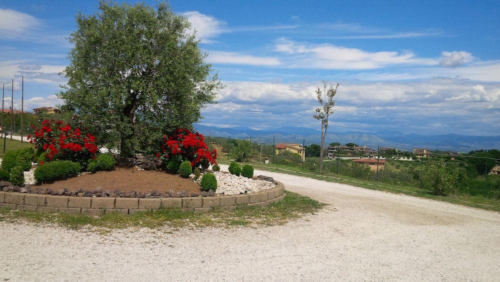 Outdoor view