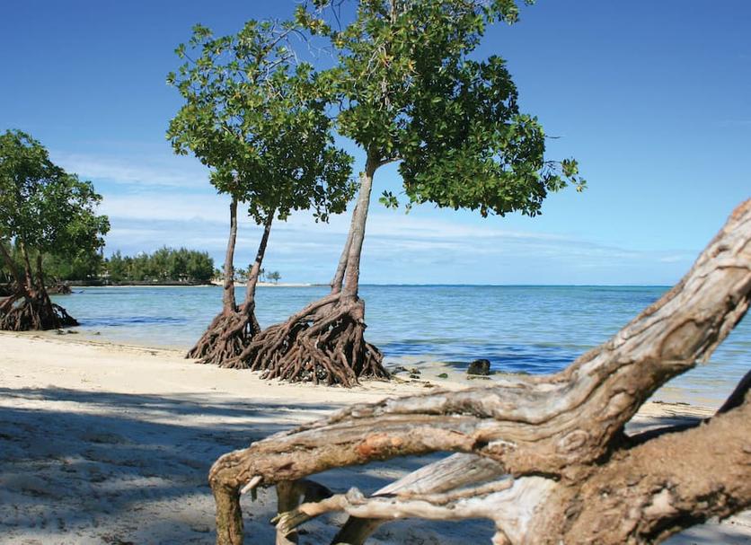 Other Photo