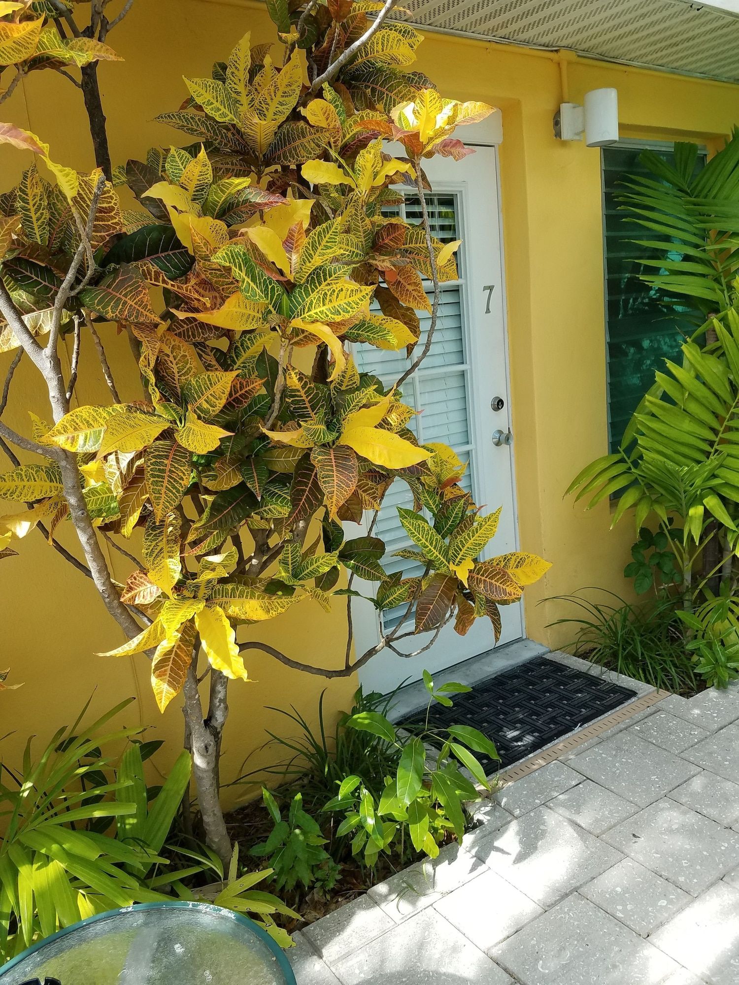 Outdoor view